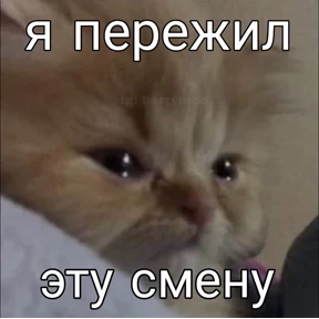 ам — стикер для MAX