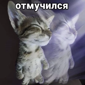 ам — стикер для MAX