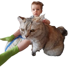 Коломиец — стикер для MAX