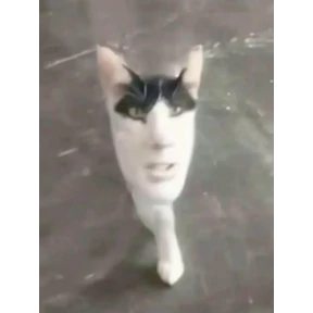 plz — стикер для MAX
