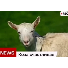 Титовка стикерс 2.0 — стикер для MAX