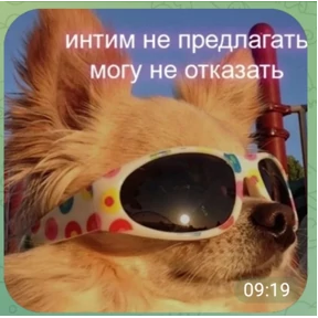 Титовка стикерс 2.0 — стикер для MAX