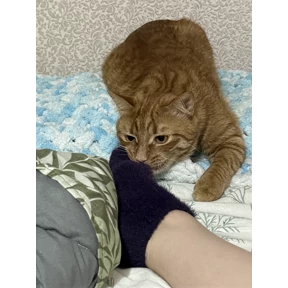 Яяяя — стикер для MAX