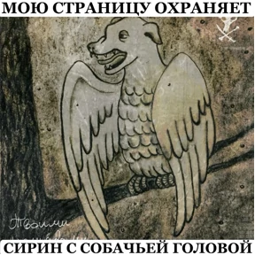4 позиции Бруно — стикер для MAX