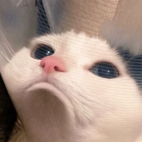 Лулу — стикер для MAX