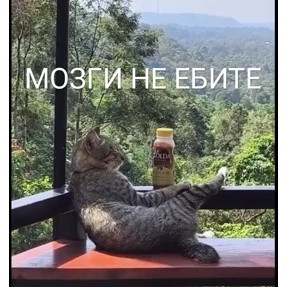 Стикерпак Заводовские для мессенджера MAX