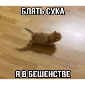 Заводовские — стикер для MAX