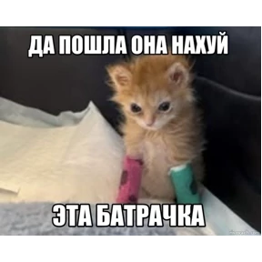 Заводовские — стикер для MAX