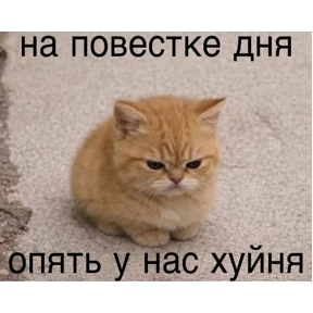 Заводовские — стикер для MAX