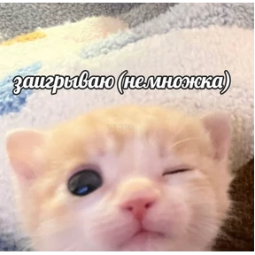 Заводовские — стикер для MAX