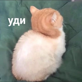 Заводовские — стикер для MAX