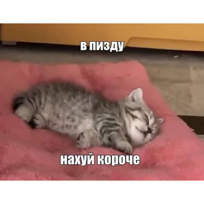 Заводовские — стикер для MAX