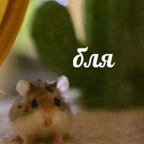 Заводовские — стикер для MAX