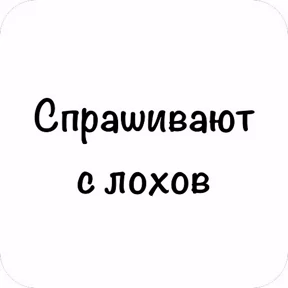 GOREC — стикер для MAX