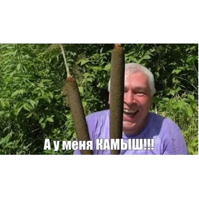 Страшно, очень страшно — стикер для MAX