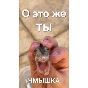 Мой наборчик — стикер для MAX