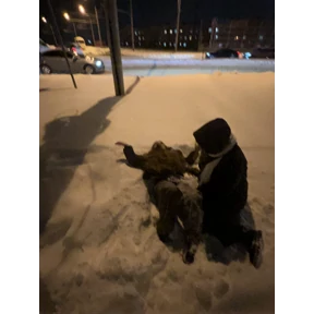 Куку — стикер для MAX