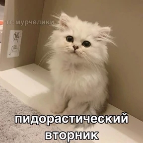 Мой наборчик — стикер для MAX