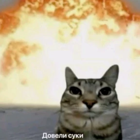 Мой наборчик — стикер для MAX