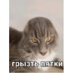 степлер — стикер для MAX