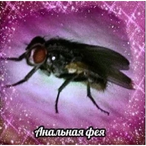 степлер — стикер для MAX