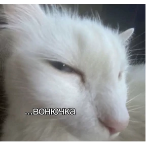 степлер — стикер для MAX