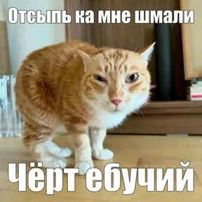 степлер — стикер для MAX