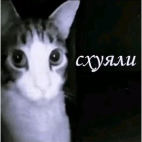 степлер — стикер для MAX
