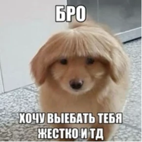 степлер — стикер для MAX