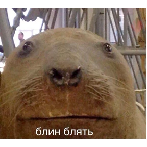 степлер — стикер для MAX