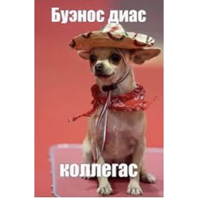 На случай важных переговоров — стикер для MAX
