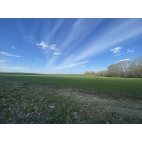 Еб@mь красота — стикер для MAX