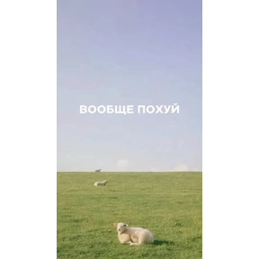 Ххх — стикер для MAX