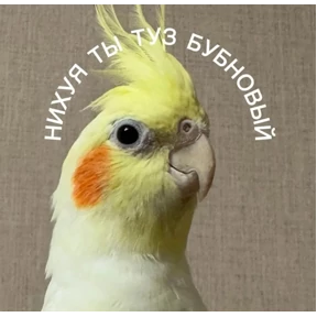 Ххх — стикер для MAX