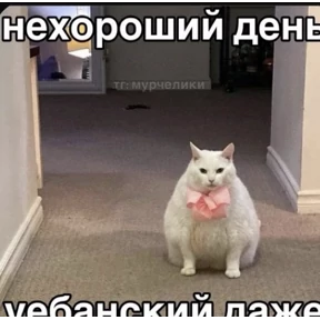 лалала — стикер для MAX
