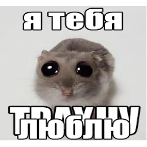 А где же наши ножки — стикер для MAX