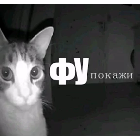 А где же наши ножки — стикер для MAX