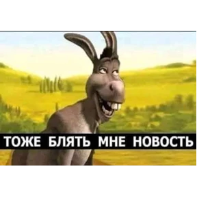 На случай важных — стикер для MAX