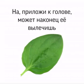 На случай важных — стикер для MAX