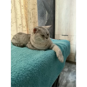 Я и он — стикер для MAX