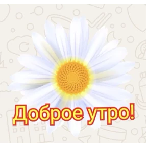 Доброго утра и хорошего дня — стикер для MAX