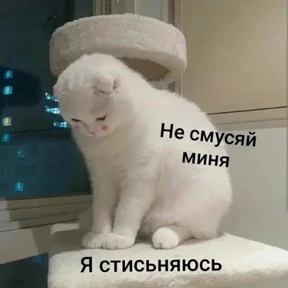 Для важных переговоров 2 — стикер для MAX
