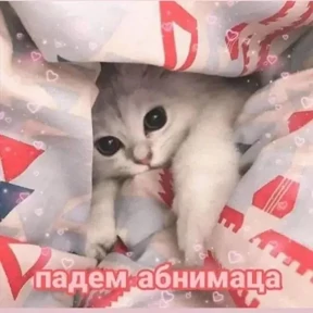 Для важных переговоров 2 — стикер для MAX