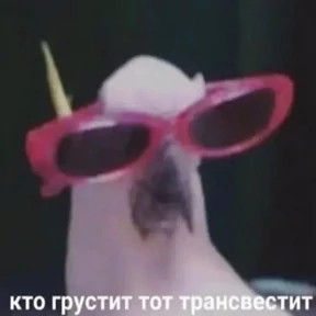 Для важных переговоров 2 — стикер для MAX