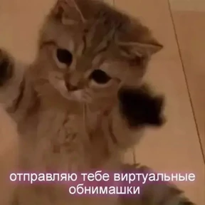 Для важных переговоров 2 — стикер для MAX