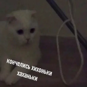 Для важных переговоров 2 — стикер для MAX
