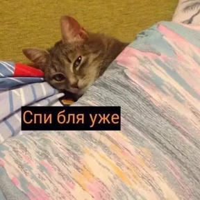 Для важных переговоров 2 — стикер для MAX