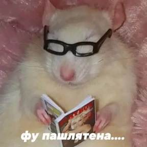 Для важных переговоров 2 — стикер для MAX