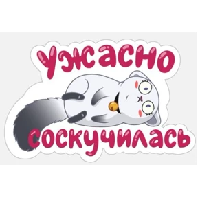 Мое — стикер для MAX