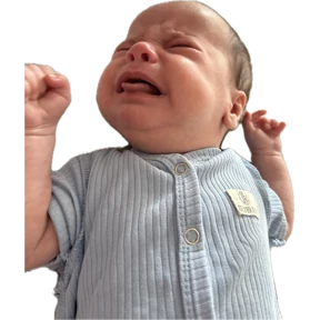 Федюк — стикер для MAX